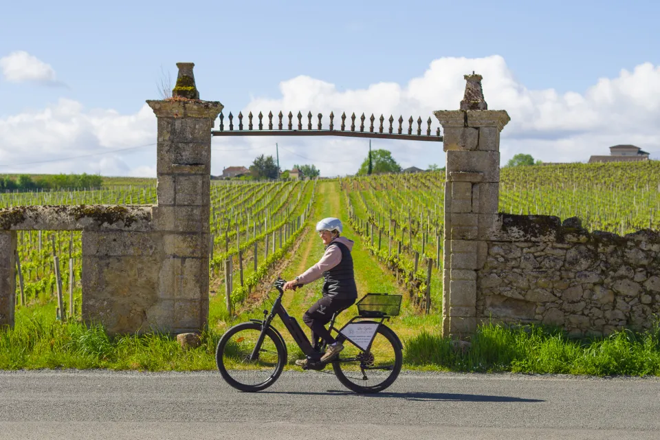Les Cycles du Bazadais - Maison du Sauternes