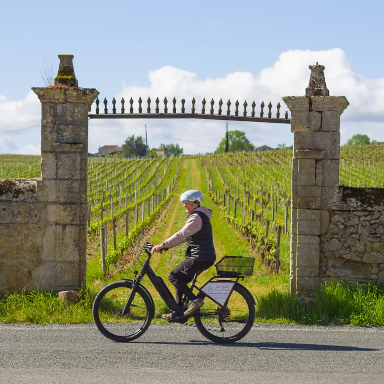 Les Cycles du Bazadais - Maison du Sauternes