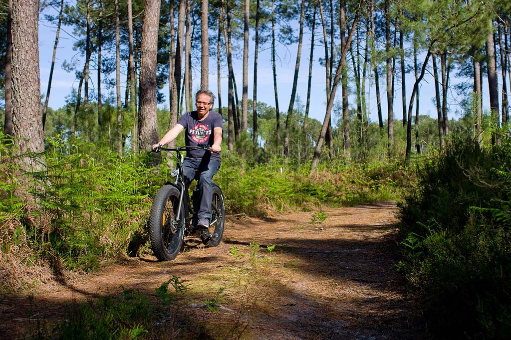 Les Cycles du Bazadais