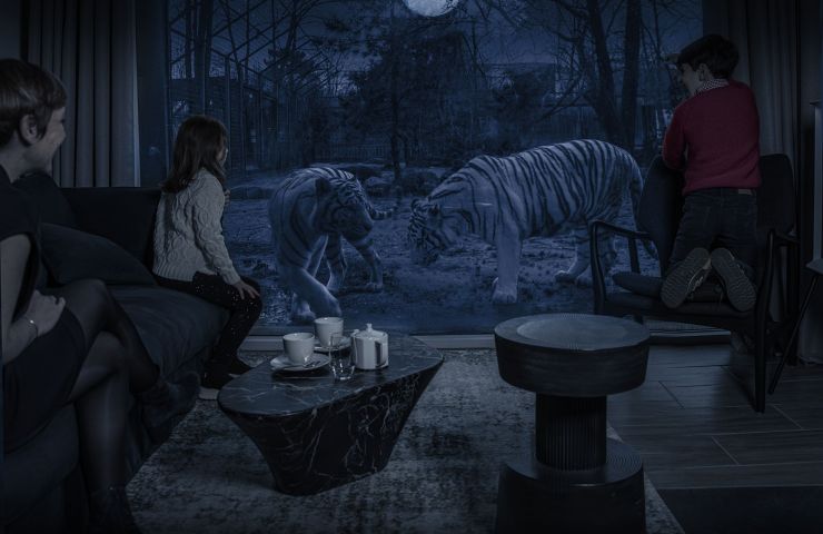 Night Experience
