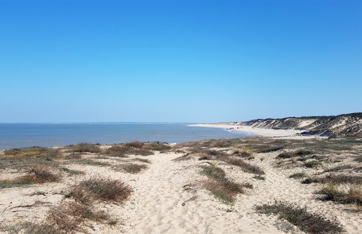 Plage Cantines