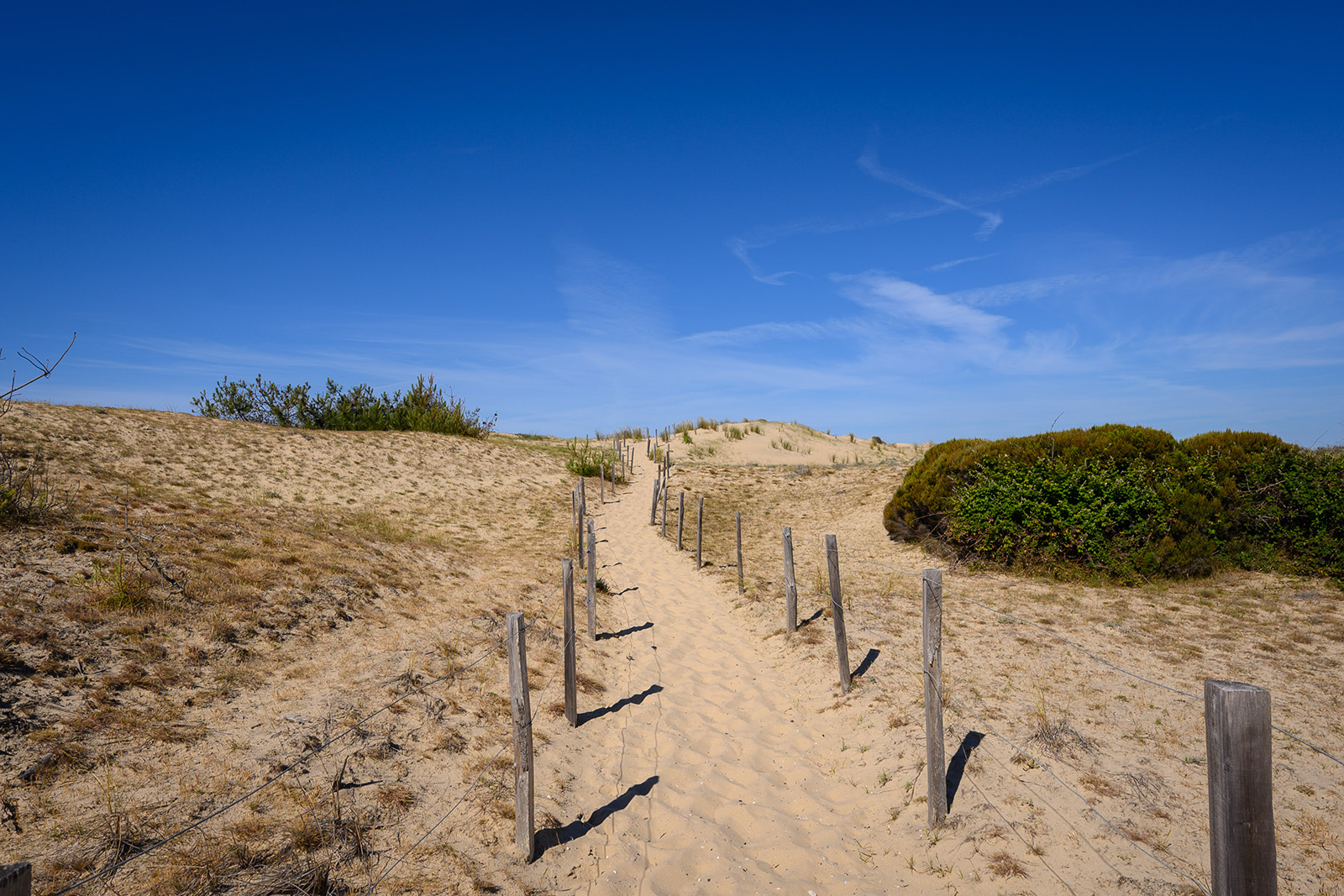 Plage de Vensac