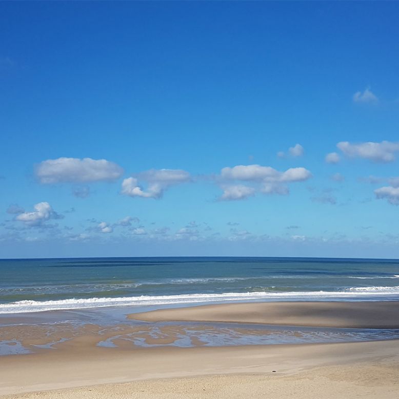Hourtin beach