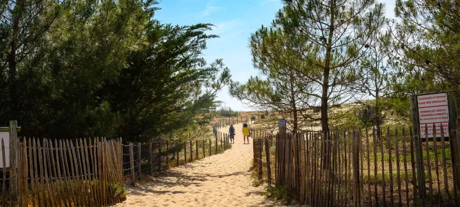 Dunes beach