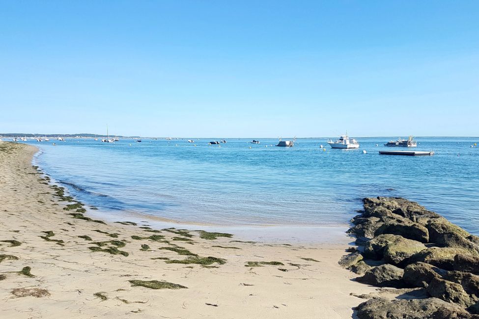 Plage de la Vigne - Plages de Gironde à Lège-Cap-Ferret - Guide