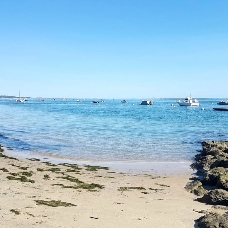 Plage de la Vigne