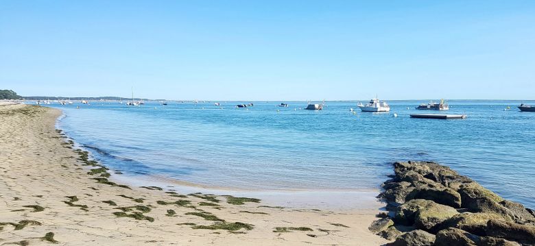 Plage de la Vigne