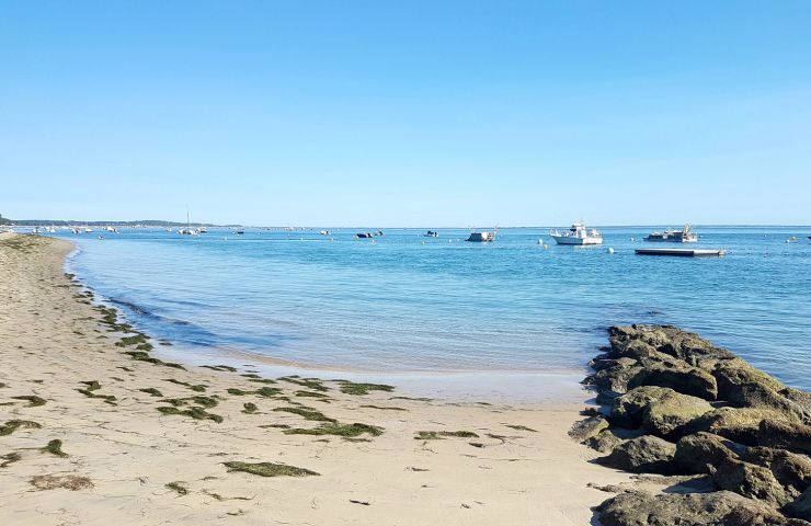 Plage de la Vigne