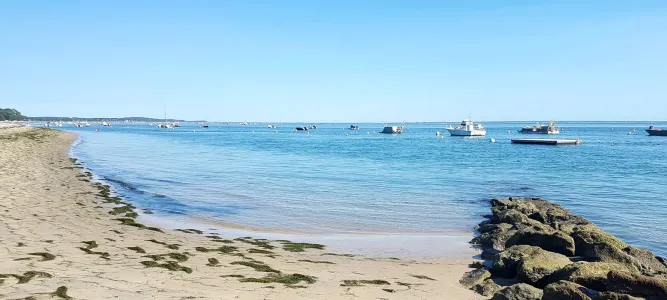 Plage de la Vigne