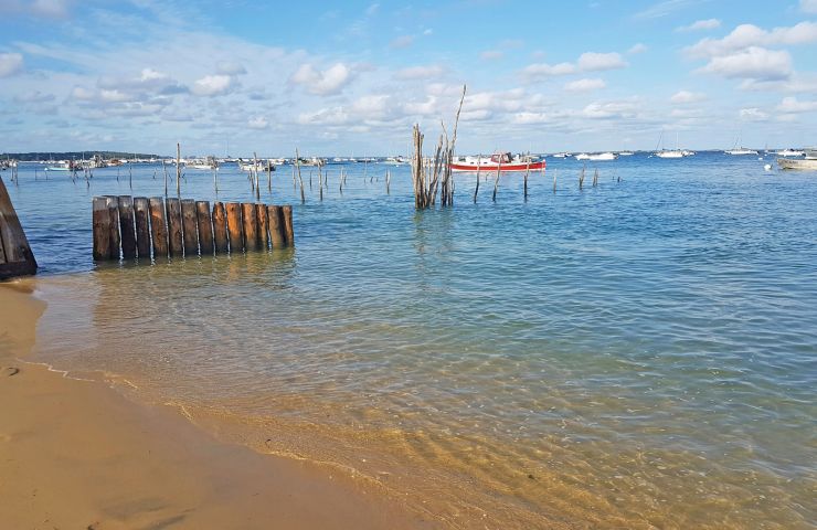 Herbe beach