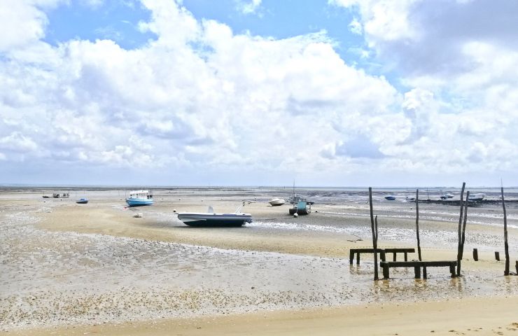 Bertic beach