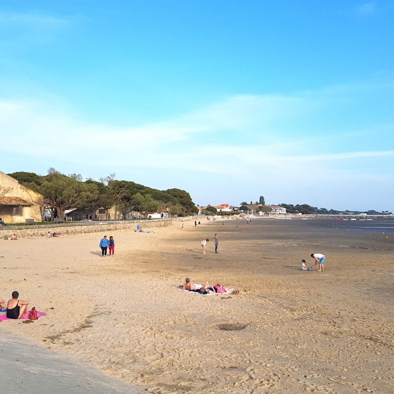 Port Ostréicole d'Andernos beach