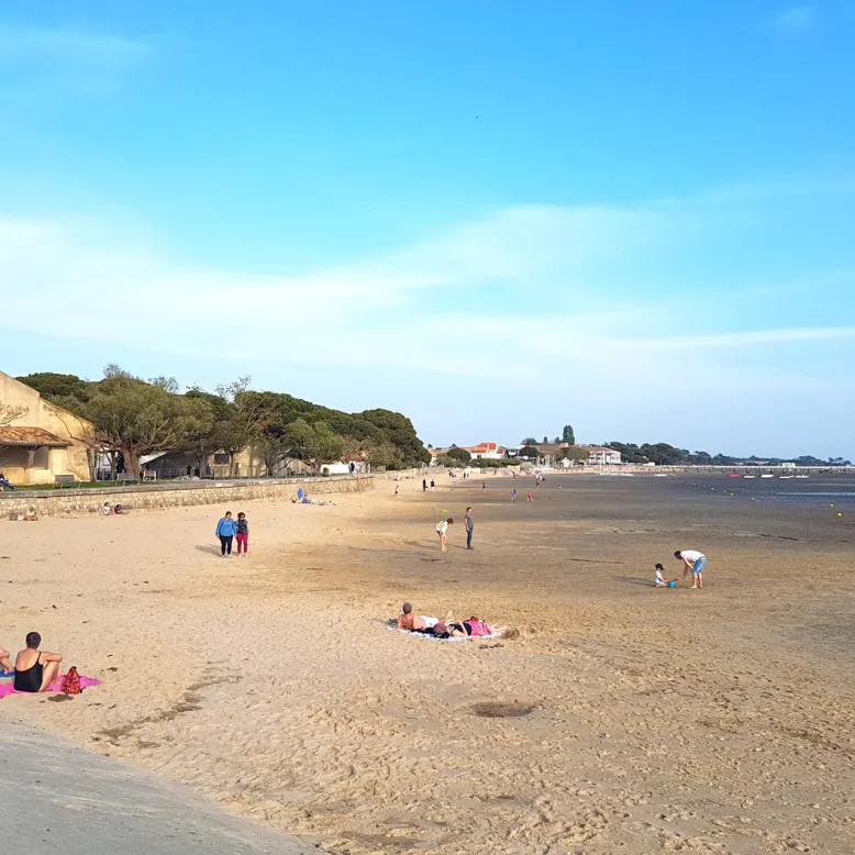 Port Ostréicole d'Andernos beach
