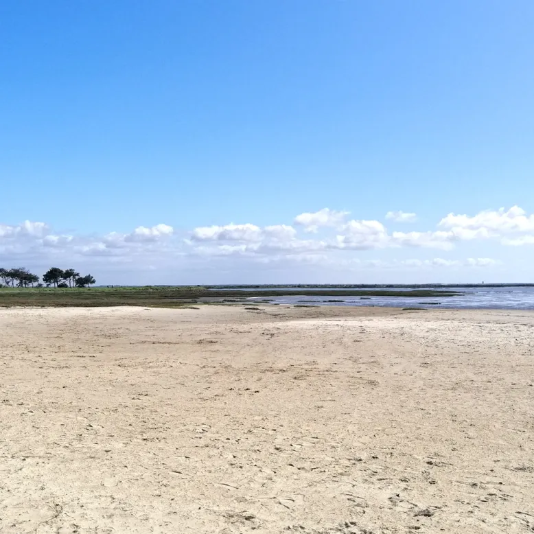 Plage de Suzette
