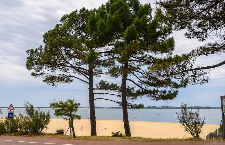 Plage du Pereire