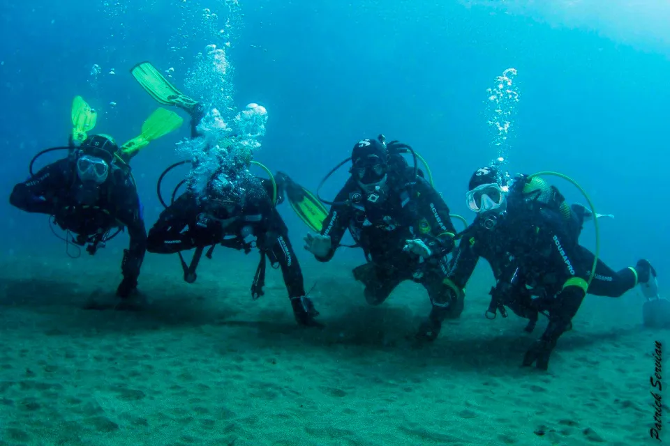 OCEANA V.S.M