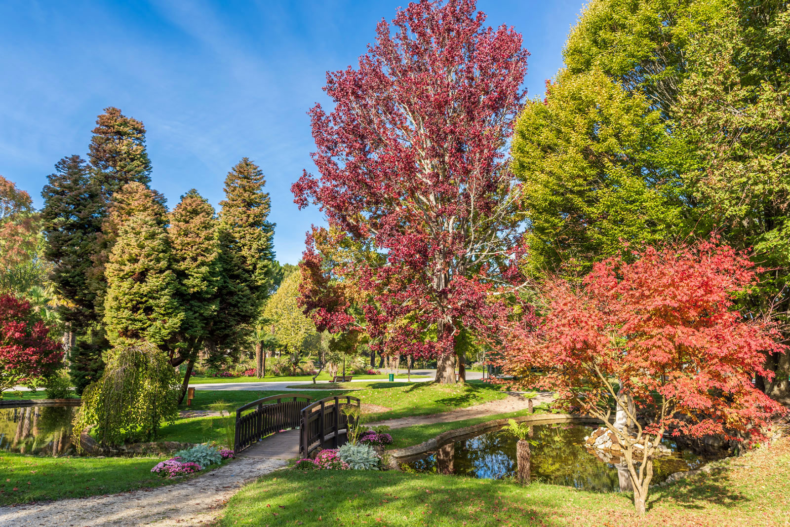 Mauresque Park