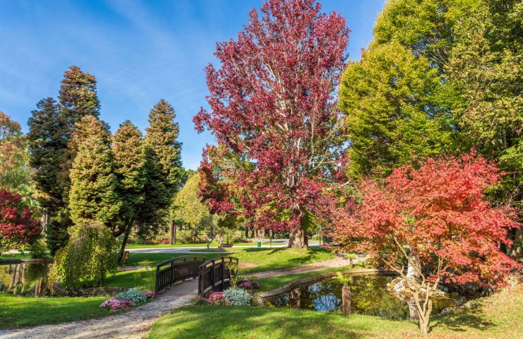 Mauresque Park