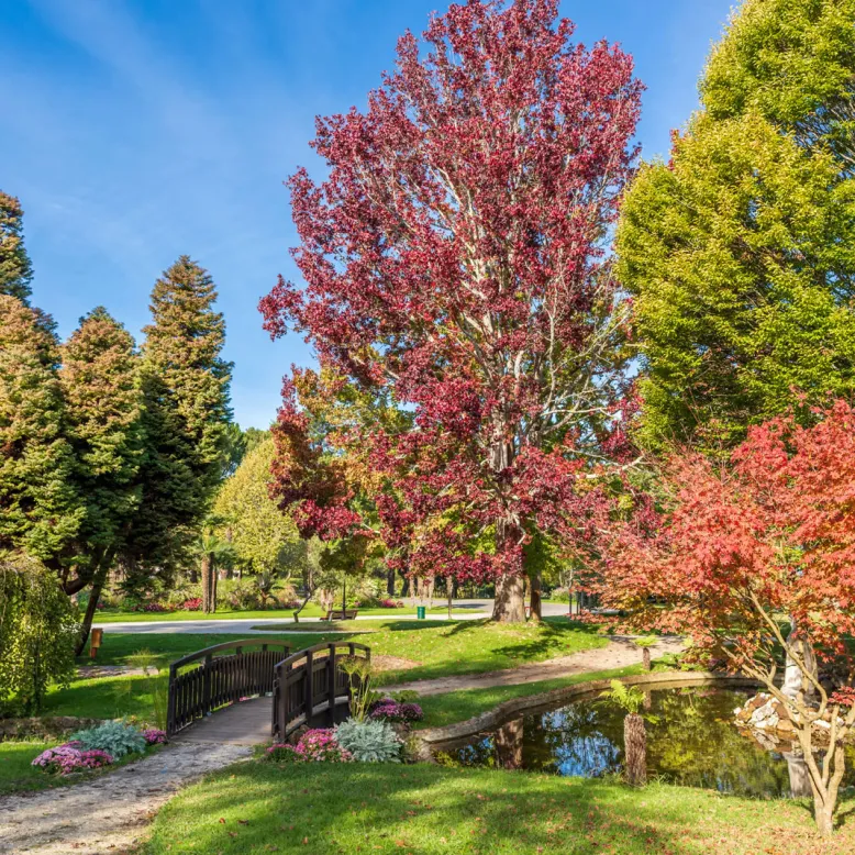 Mauresque Park