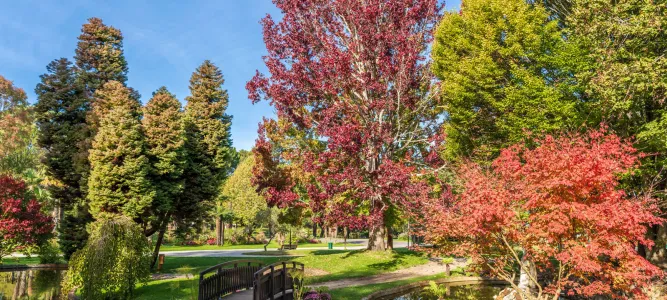 Parc Mauresque