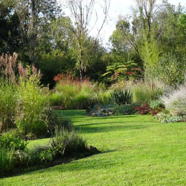 The Garden of the Golden Bottom
