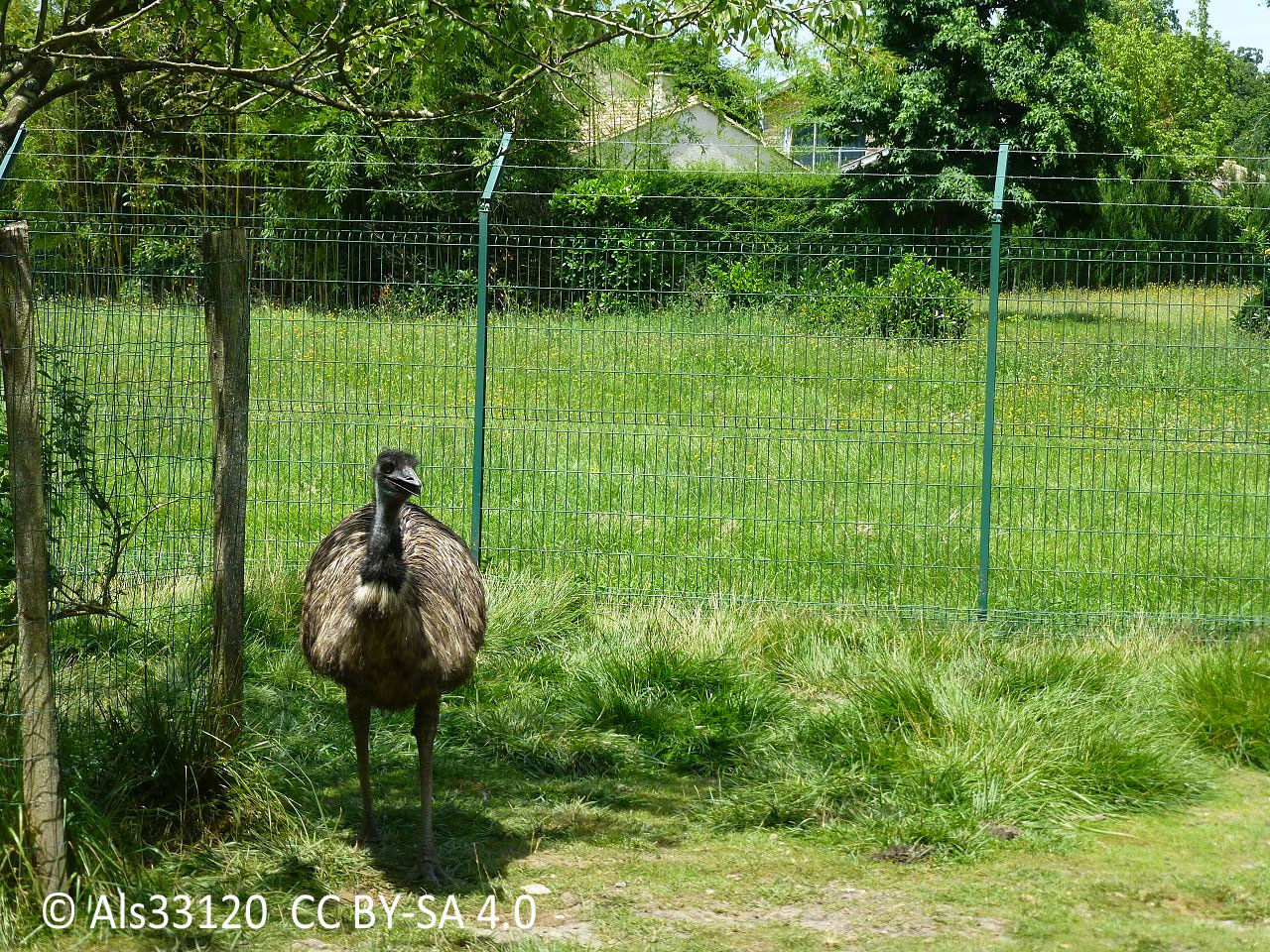 Parc René Canivenc, le Moulineau