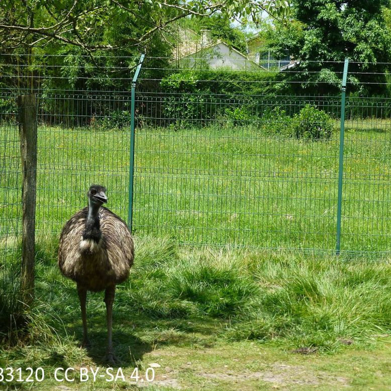 Parc René Canivenc, le Moulineau