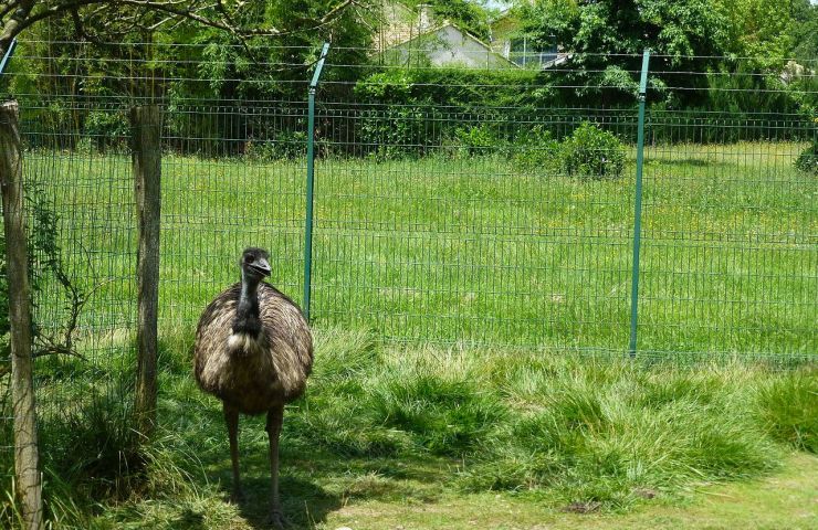 Parc René Canivenc, le Moulineau