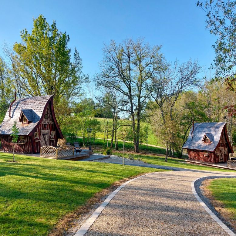 Des Vignes et des Songes