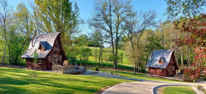 Des Vignes et des Songes