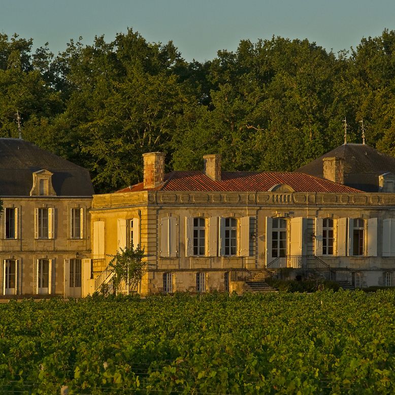 Château Picque Caillou