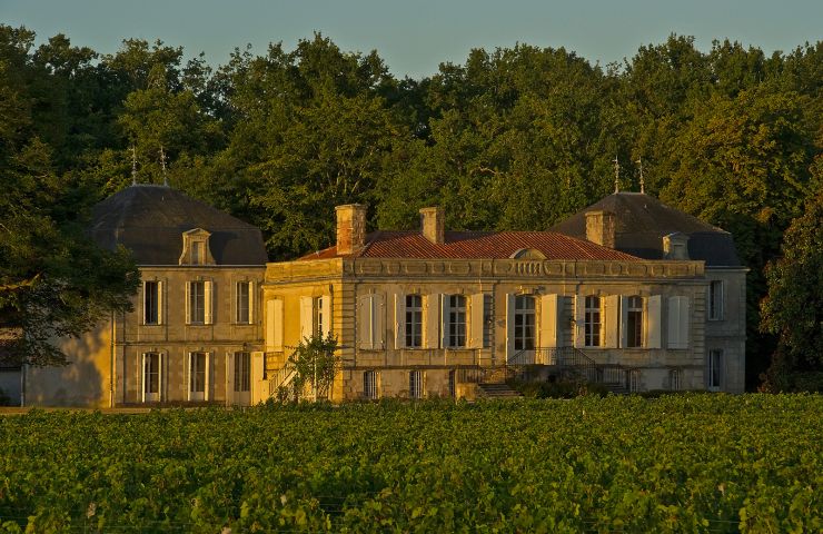 Château Picque Caillou