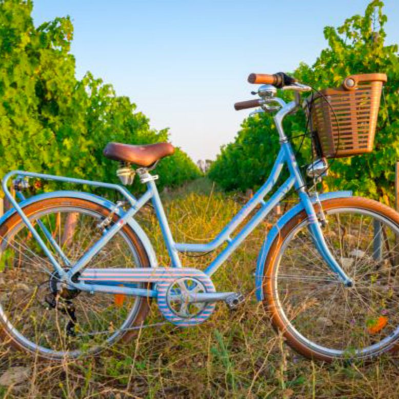 BEACH BIKES Cap Ferret
