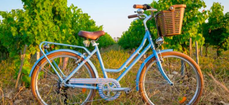 BEACH BIKES Cap Ferret