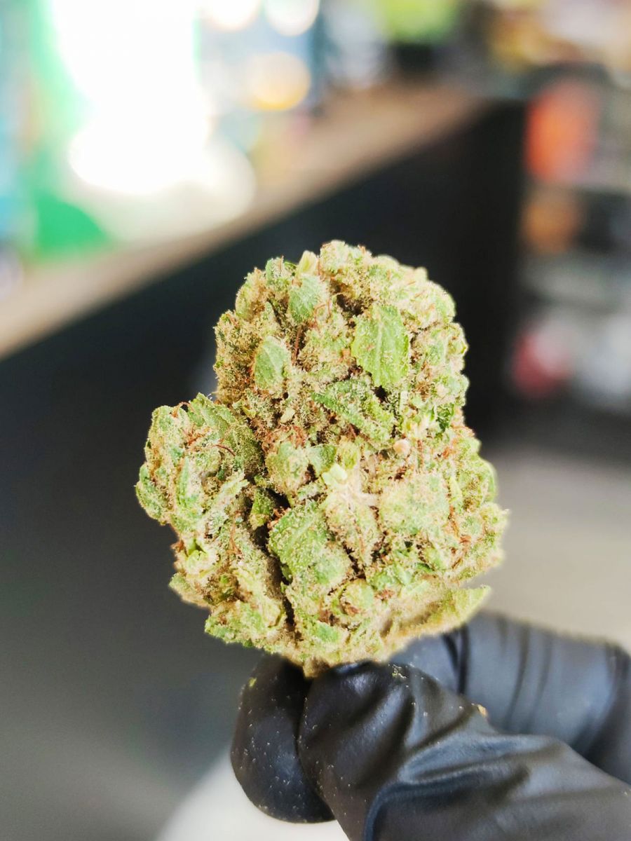 CBD Time