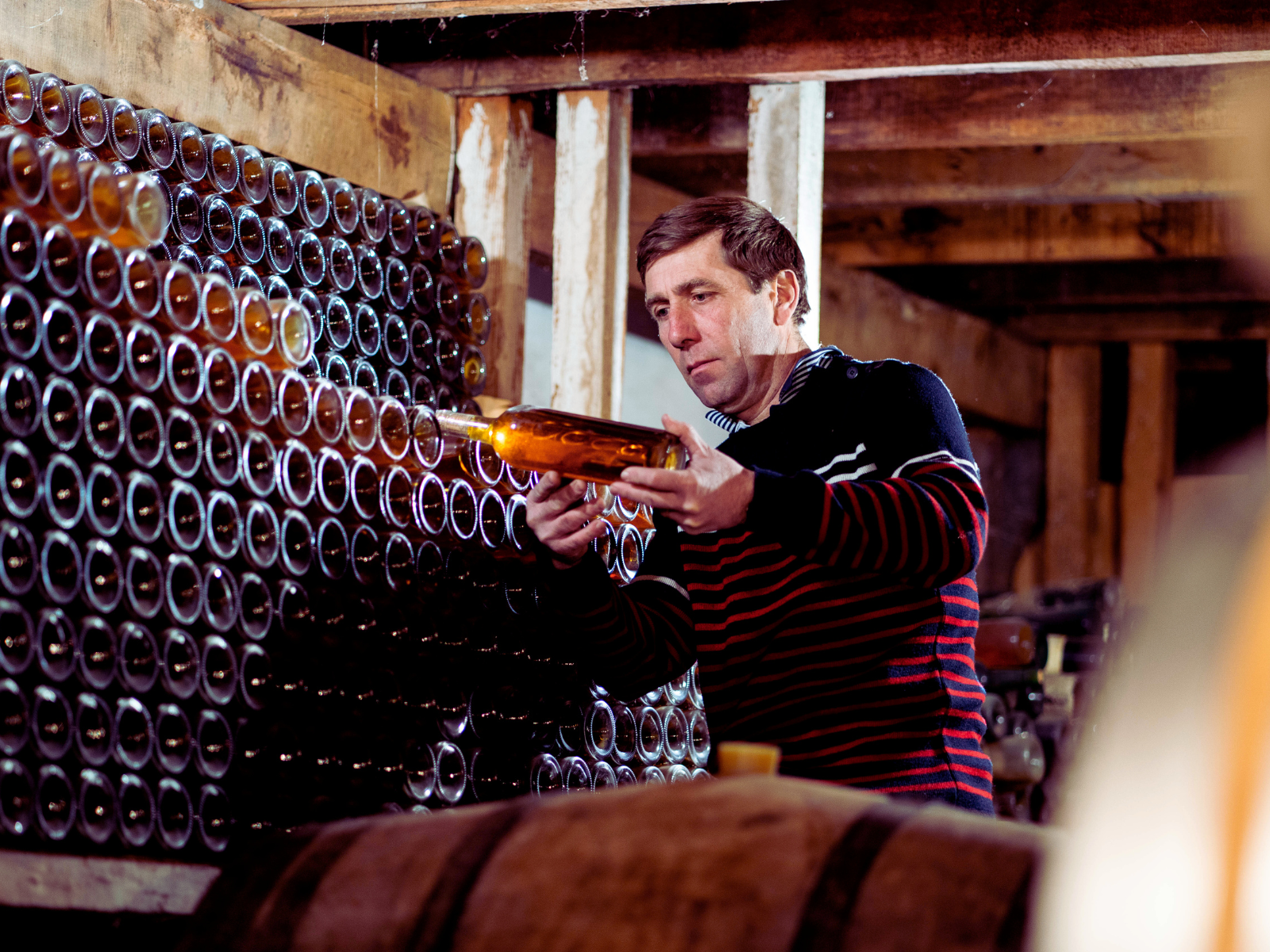 Vignobles Darriet - Château Dauphiné Rondillon