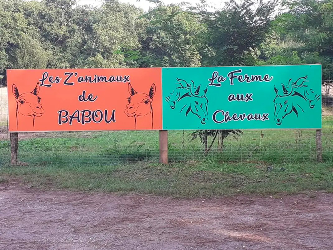 Les Z'animaux de Babou Cheval / Ânes / Poneys / Calèches à Vensac