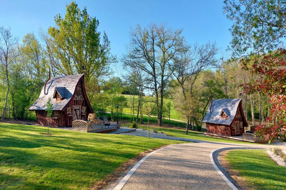 des Vignes et des Songes