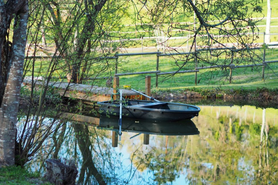Des Vignes et des Songes