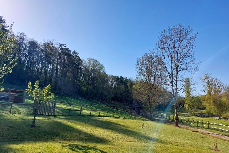 Des Vignes et des Songes