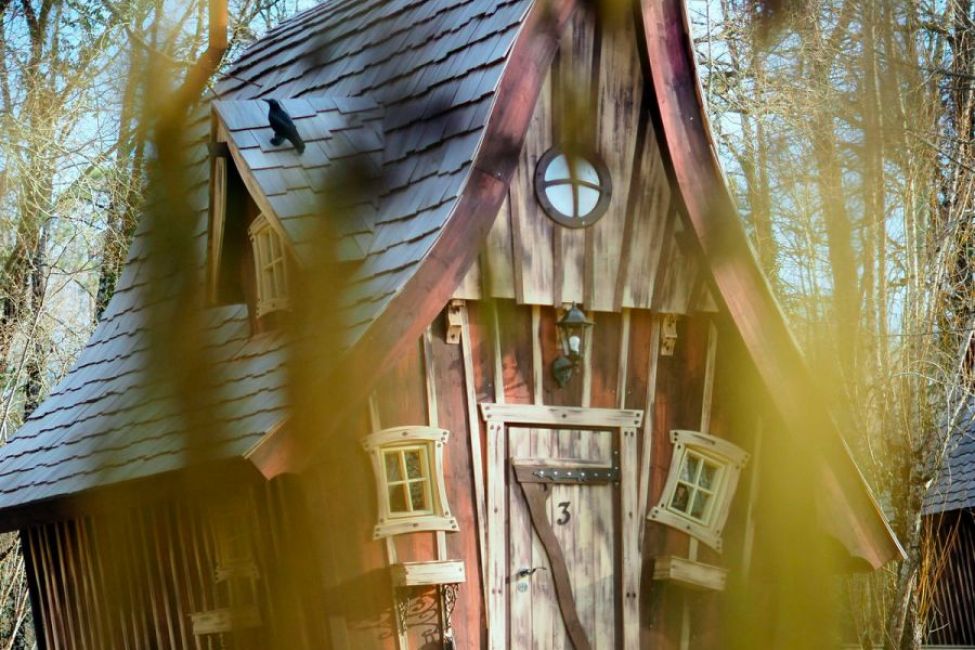 Des Vignes et des Songes