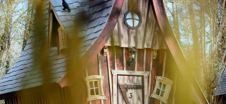 Des Vignes et des Songes