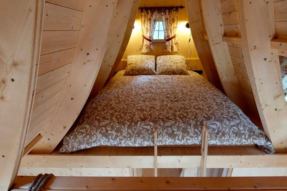 Des Vignes et des Songes