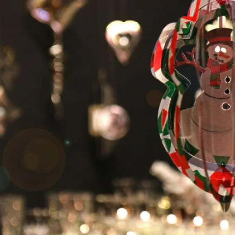 Visit of the Bordeaux Christmas Market