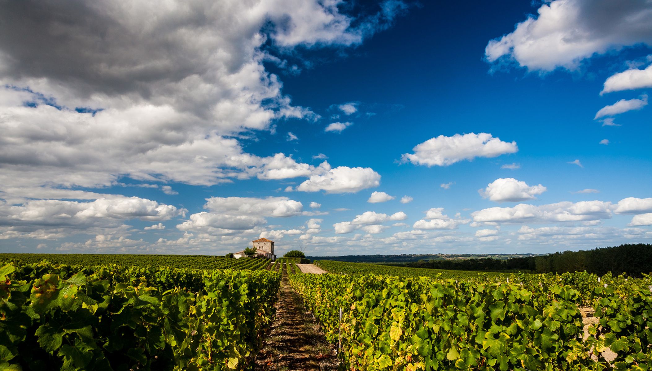Unique holidays in Gironde: A getaway to the Sauternes region and southern Gironde
