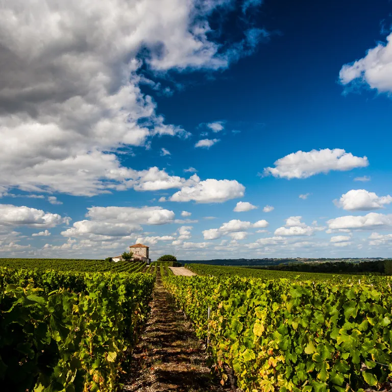 Vacances originales en Gironde : Escapade dans ...