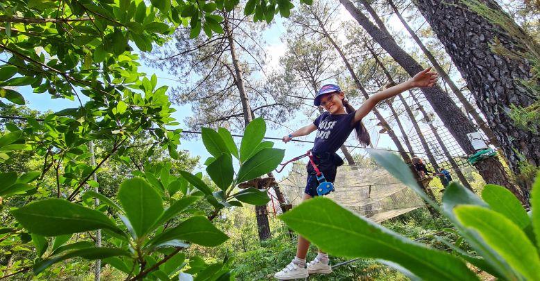 Bassin Aventures, un accrobranche hors du comm ...