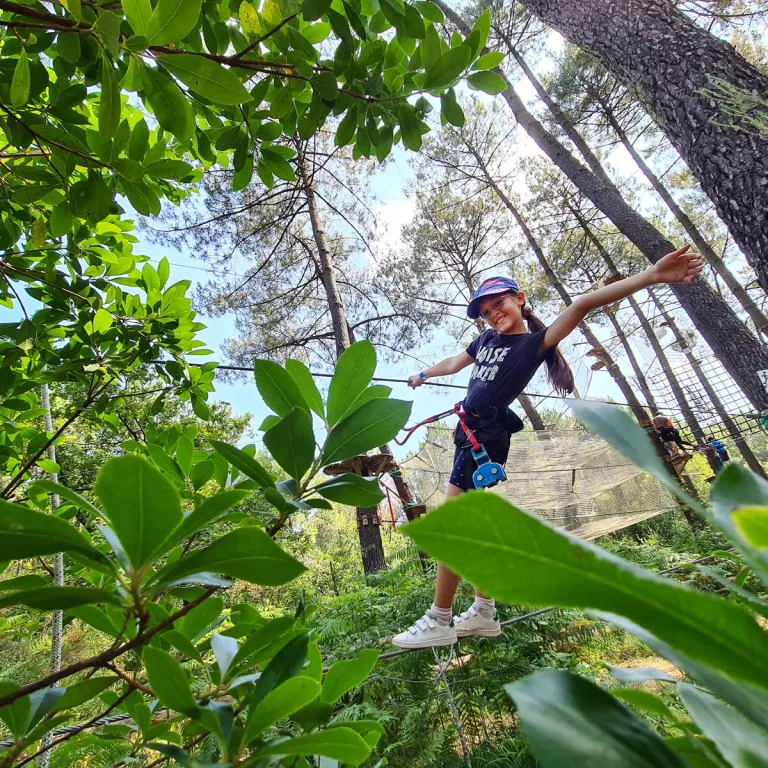 Bassin Aventures, un accrobranche hors du comm ...