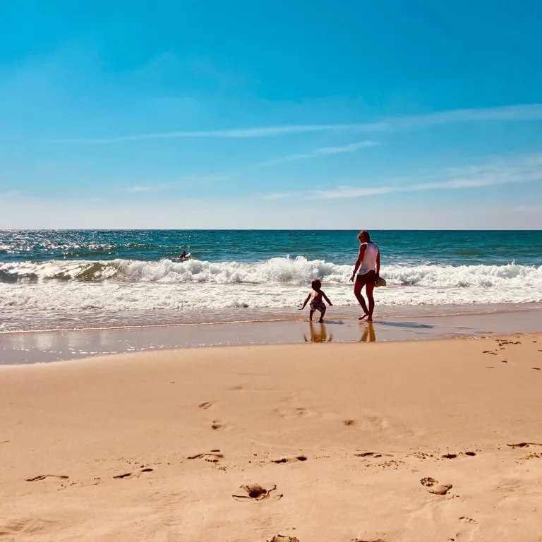 Médoc plein Sud: A vacation or a day at the fa ...