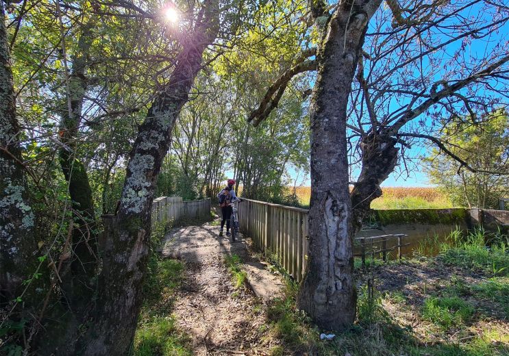 Eco-responsible tourism in Gironde and around ...